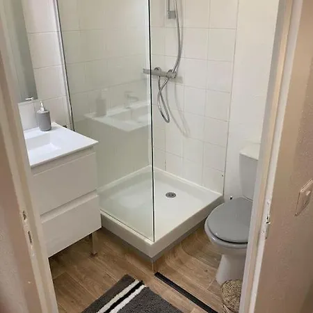 Superbe Petit Plein Centre 아파트 *